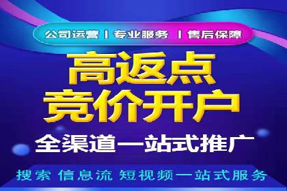 百度推广公司案例解析：如何利用百度推广实现快速转化
